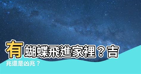 家裡有蝴蝶|【家裡出現蝴蝶】家裡出現蝴蝶？吉兆還是凶兆？一次揭曉民間傳。